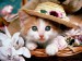 Kočka v klobouku.jpg